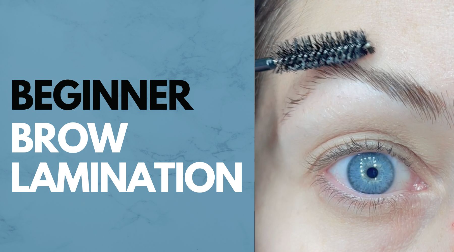 Beginner Brow Lamination Step by Step Instructions Blog Post