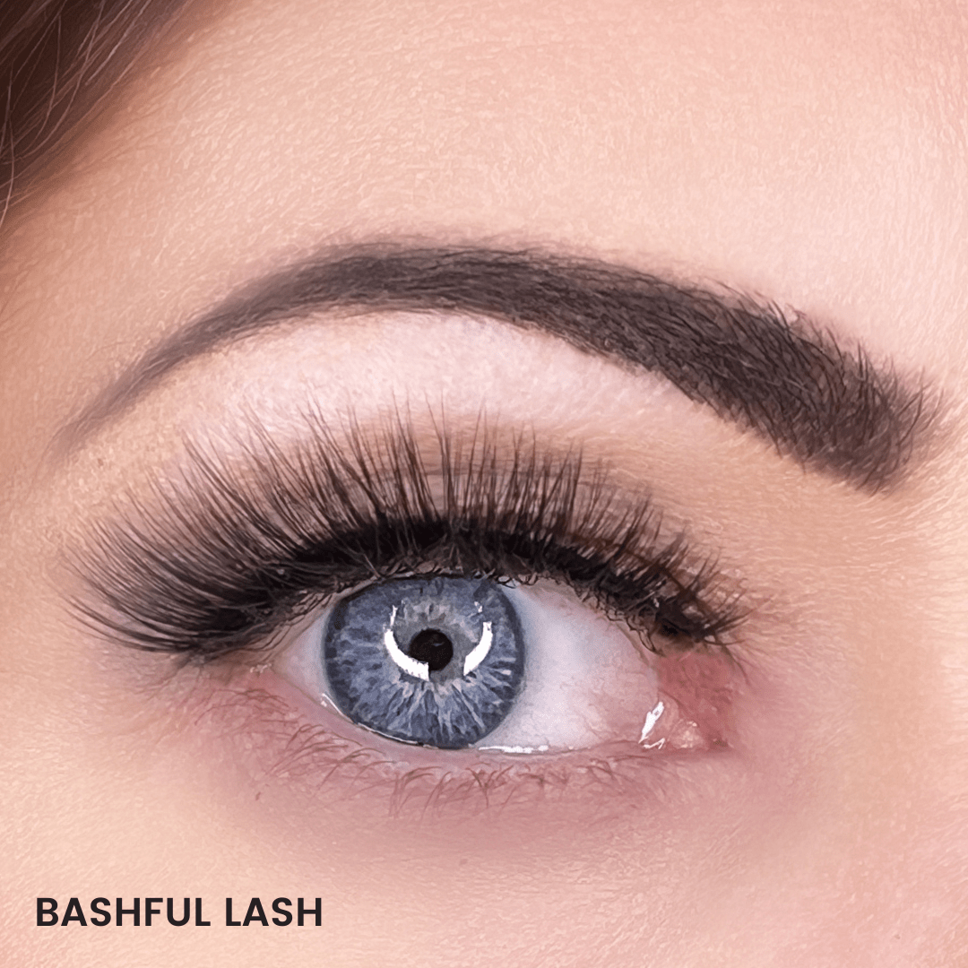 Bashful Magnetic Eyelash