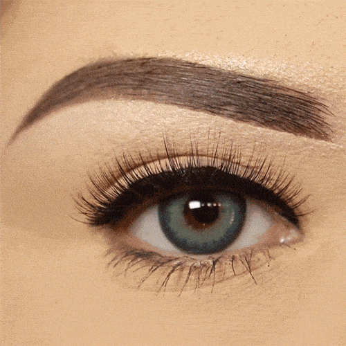 Natural Volume Lashes LUSCIOUS Round Magnetic Lash Deluxe Kit Natural Magnetic Lashes 850013837014
