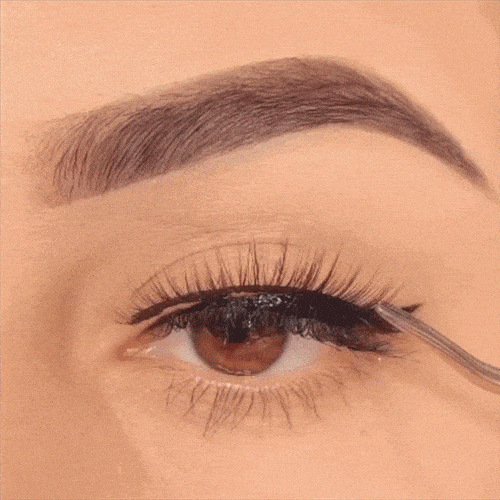 Buy lashes best sale