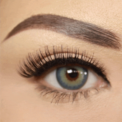 Cat Eye Lash TEMPT LASH & LINER Mid-length Magnetic Lashes